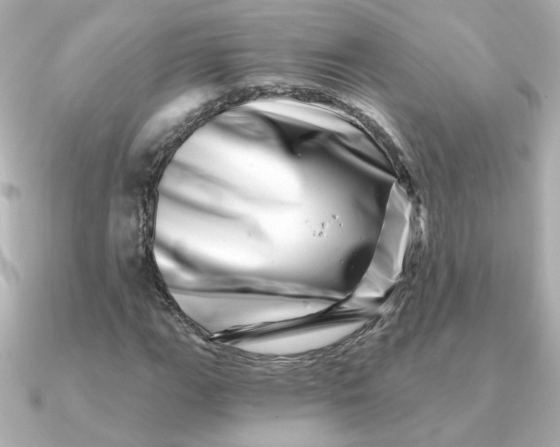 X0000090721111200708101547