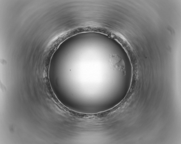 X0000090721112200708101548
