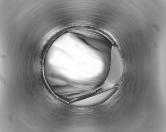 X0000090721115200708101548