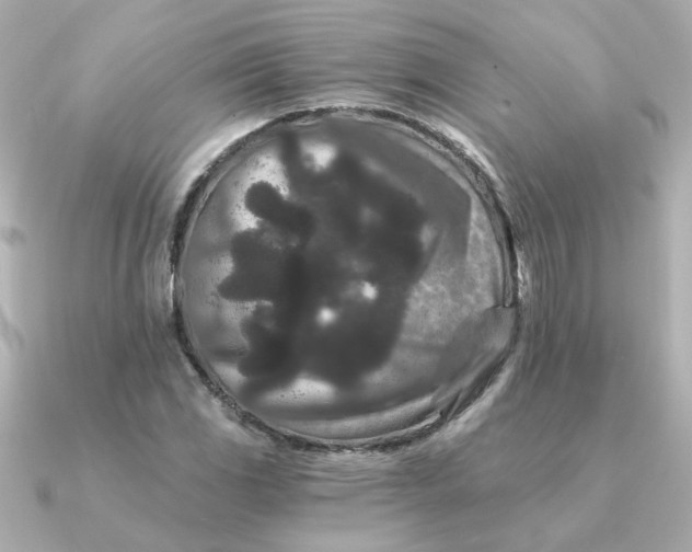X0000090721117200708101548