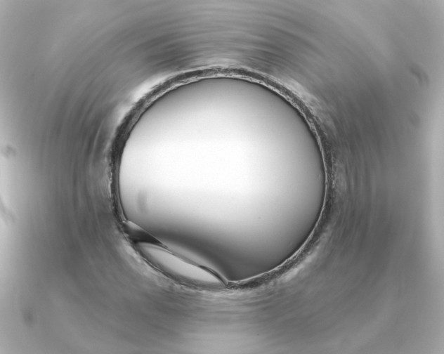 X0000090721118200708101548