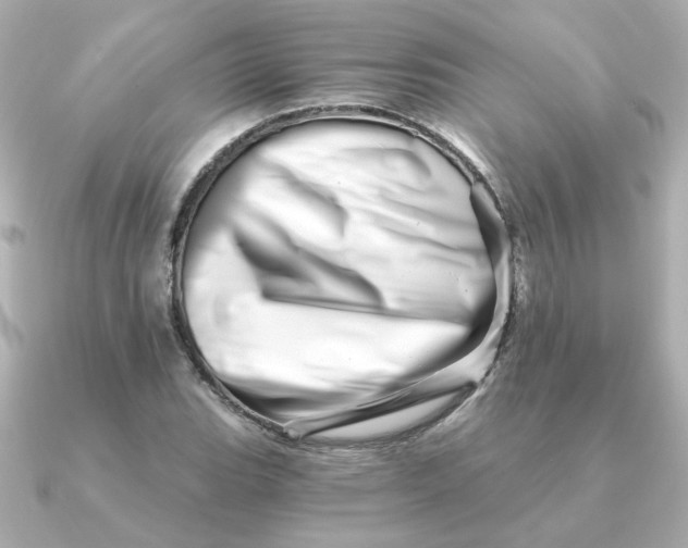 X0000090721119200708101548