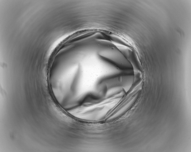 X0000090721120200708101548