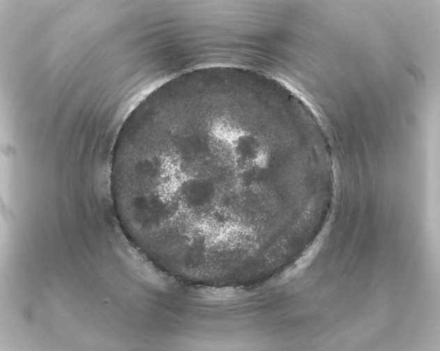 X0000090721121200708101548
