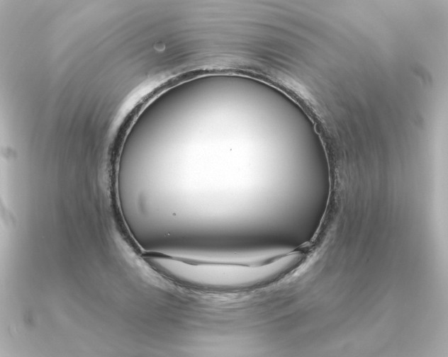 X0000090721122200708101548