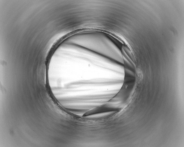X0000090721123200708101548