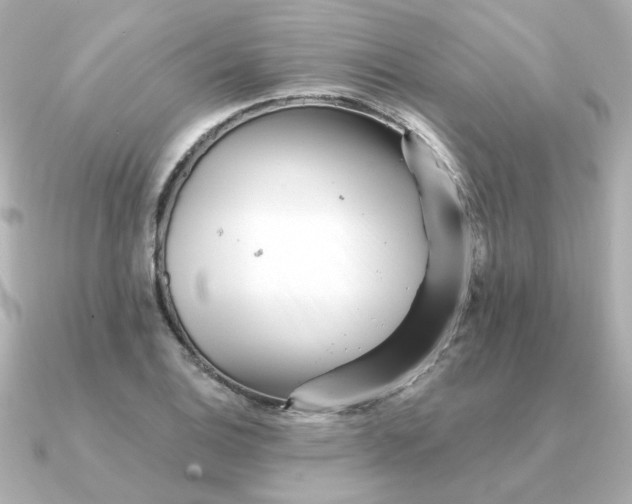 X0000090721124200708101548