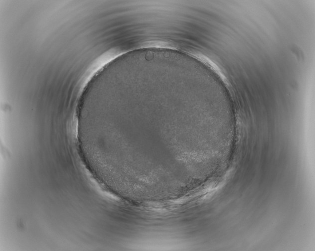 X0000090721125200708101548