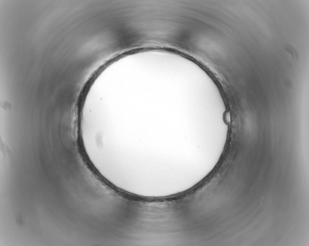X0000090721126200708101548