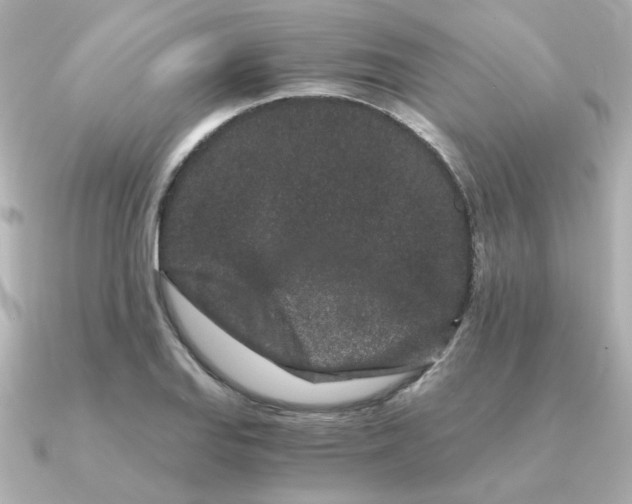 X0000090721127200708101548
