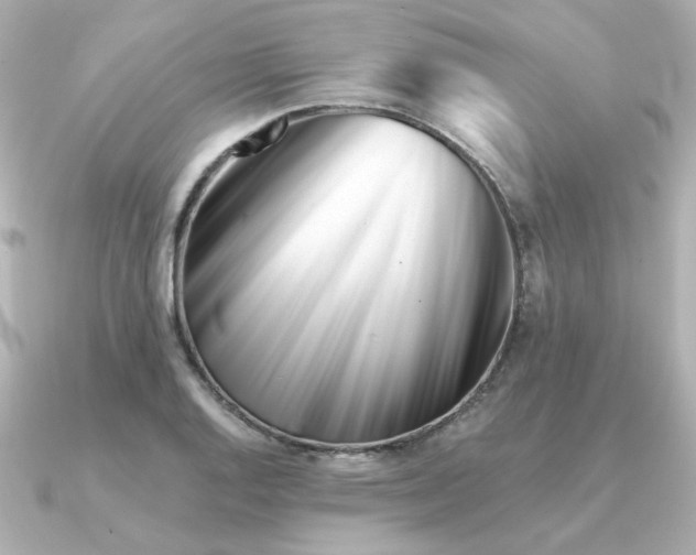 X0000090721128200708101548