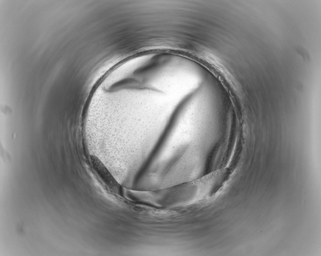X0000090721129200708101548