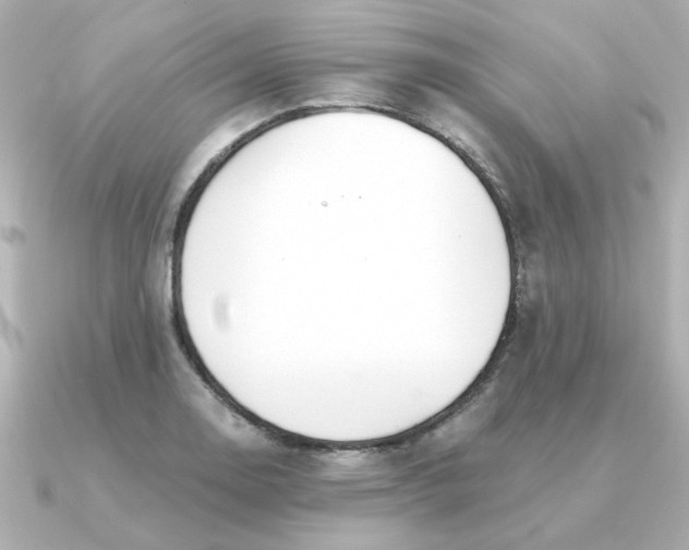 X0000090721130200708101548