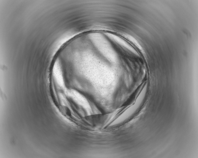 X0000090721133200708101548