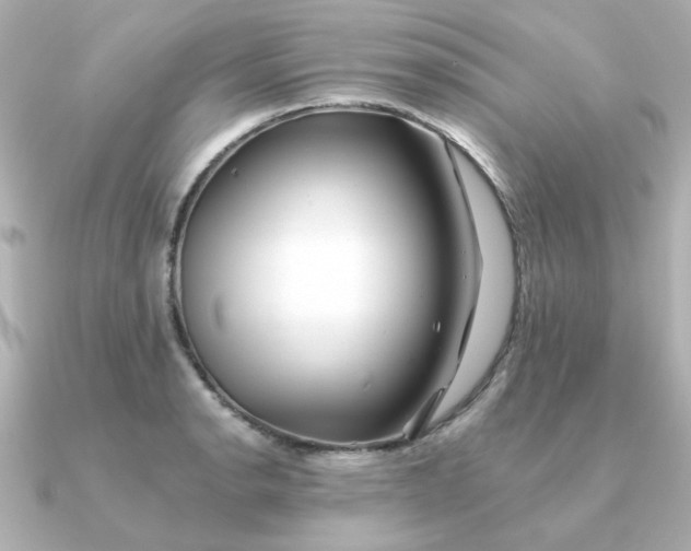X0000090721134200708101548