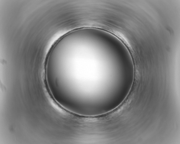 X0000090721136200708101548
