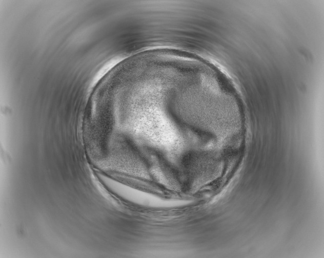 X0000090721137200708101548