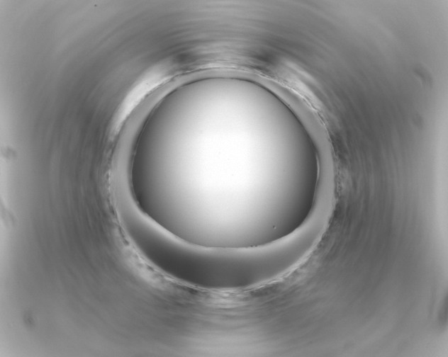 X0000090721138200708101548