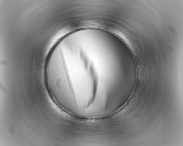 X0000090721139200708101548