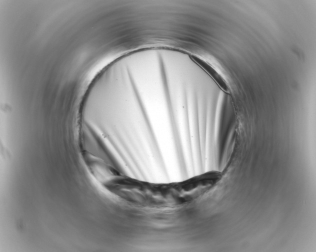 X0000090721143200708101548