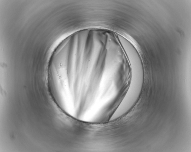 X0000090721144200708101548