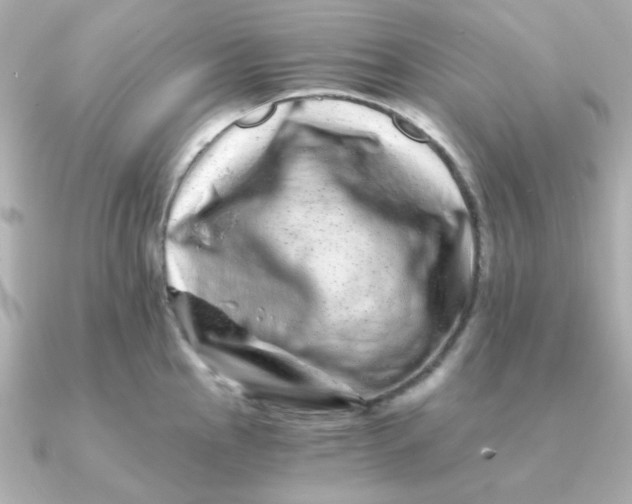 X0000090721145200708101548