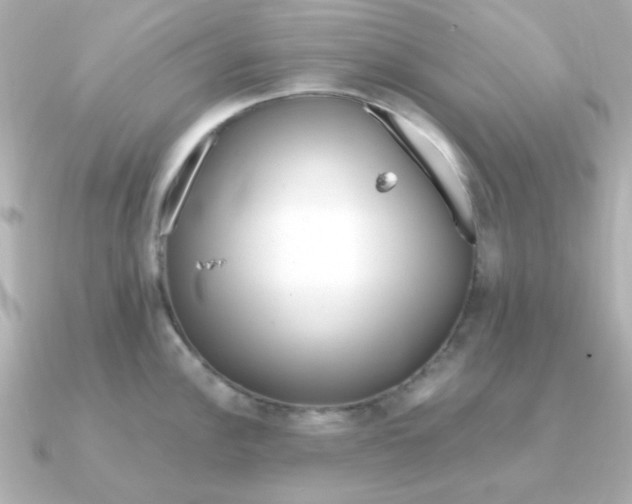 X0000090721148200708101548