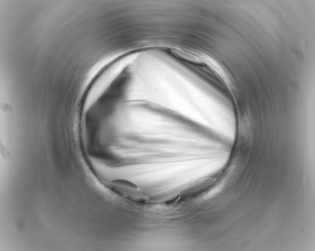 X0000090721149200708101548