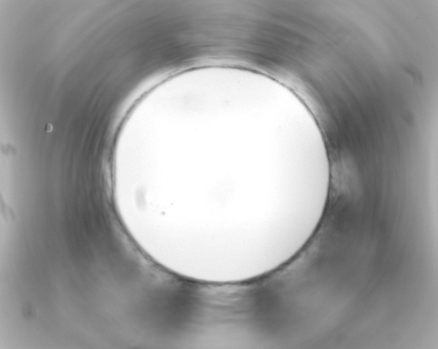 X0000090721150200708101548