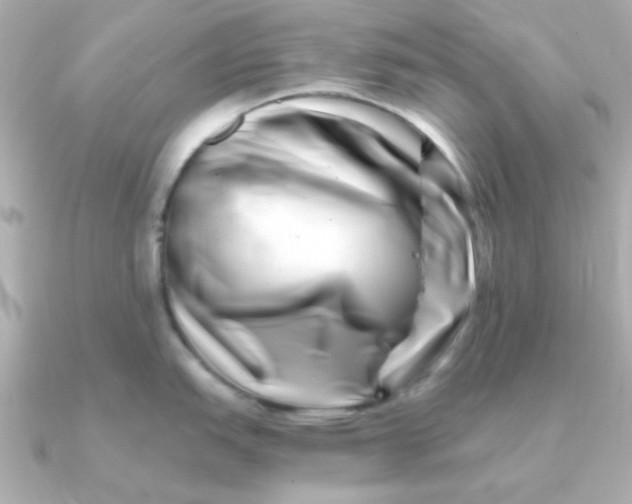 X0000090721151200708101548