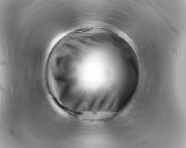 X0000090721152200708101548