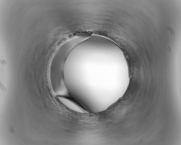 X0000090721153200708101547