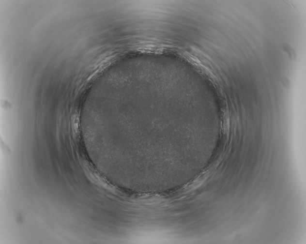 X0000090721154200708101547