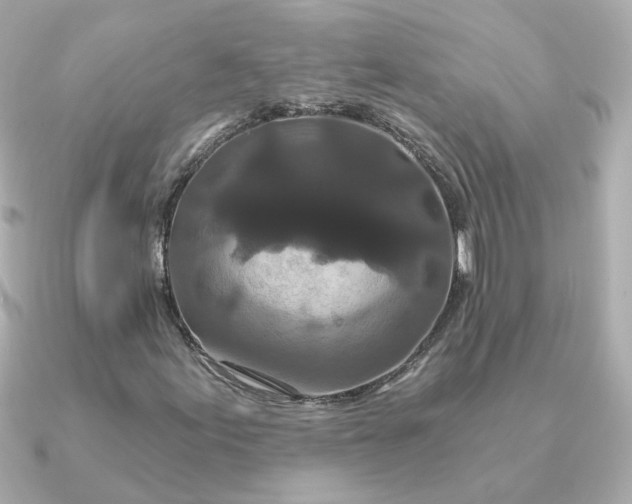 X0000090721155200708101547