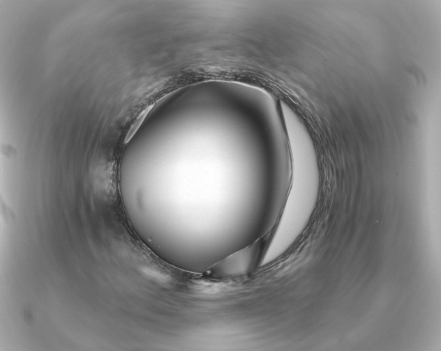 X0000090721156200708101547