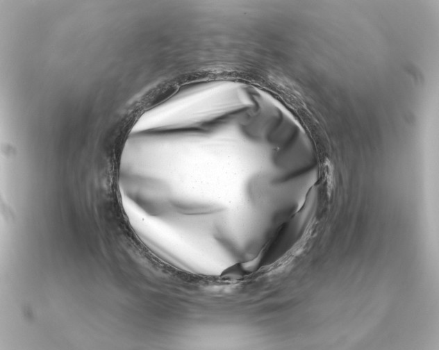 X0000090721158200708101547