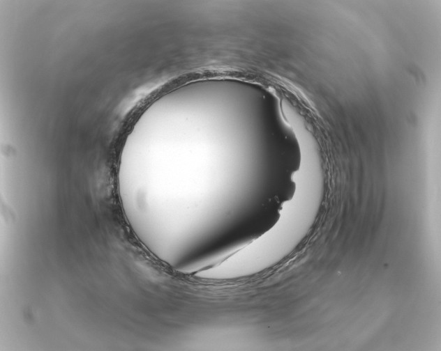 X0000090721160200708101547