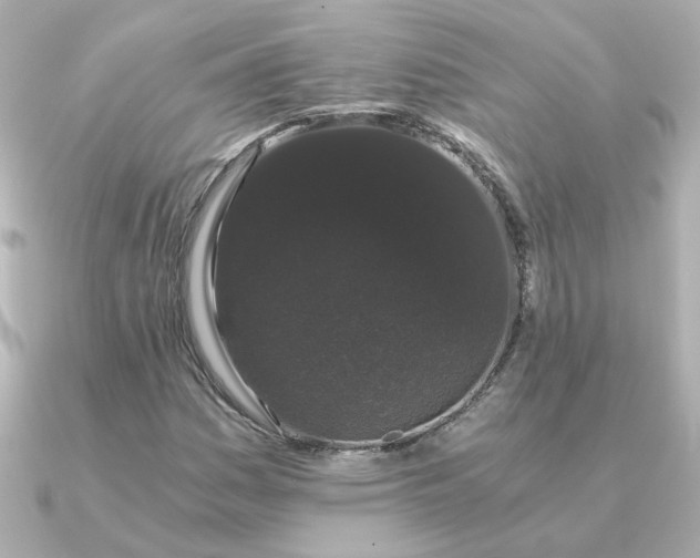 X0000090721161200708101547