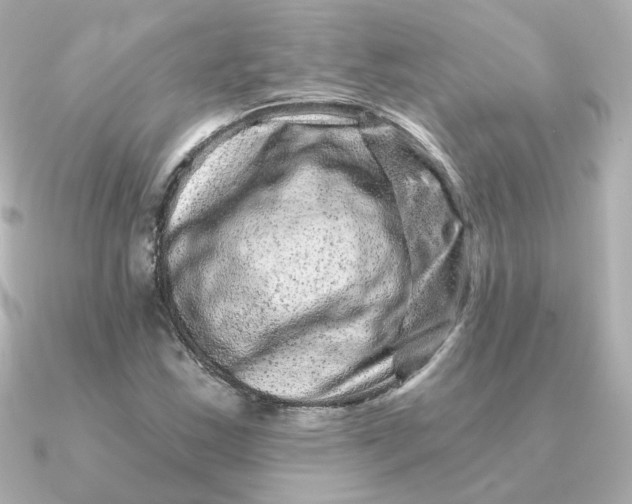 X0000090721163200708101547