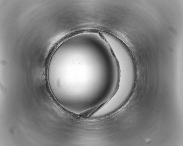 X0000090721164200708101547