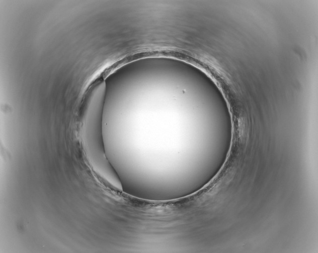 X0000090721165200708101547
