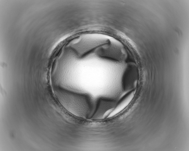 X0000090721166200708101547