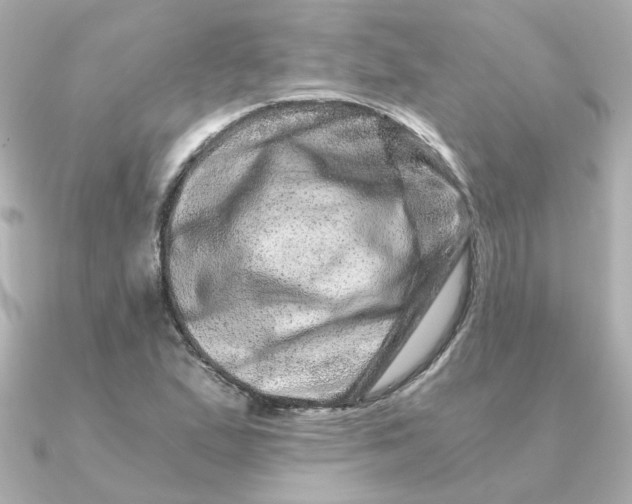 X0000090721167200708101547