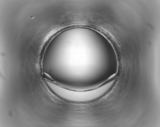 X0000090721168200708101547