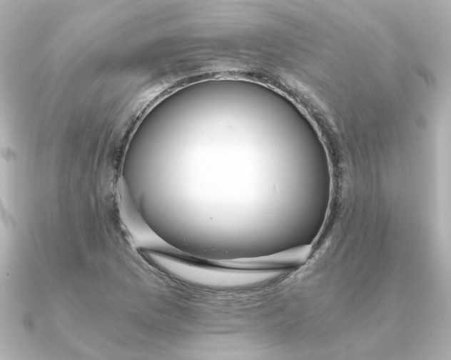 X0000090721169200708101547