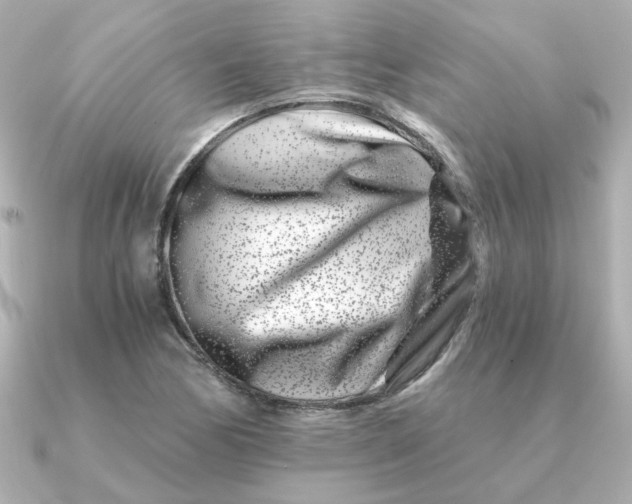 X0000090721170200708101547