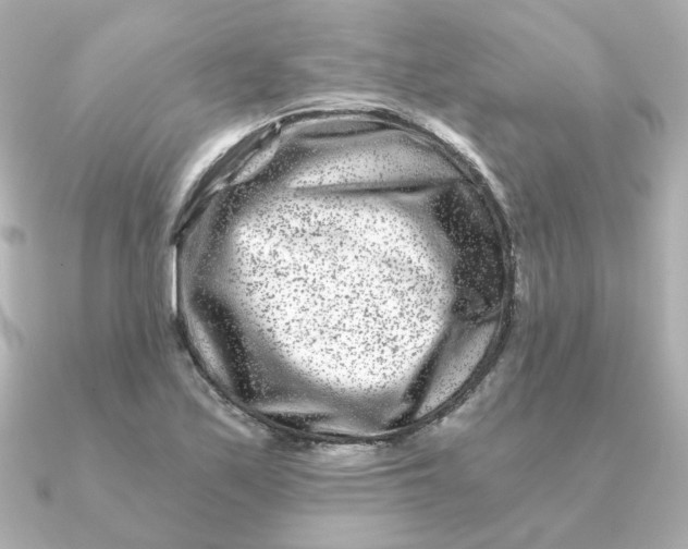 X0000090721171200708101547