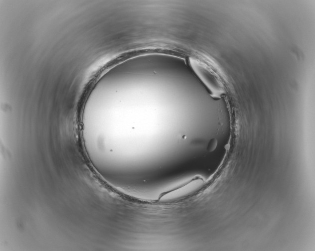 X0000090721172200708101547