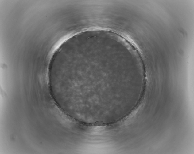 X0000090721173200708101547