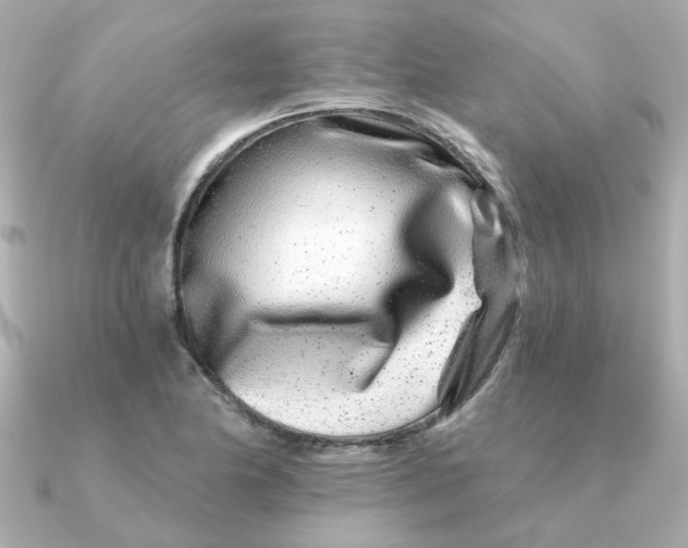 X0000090721174200708101547